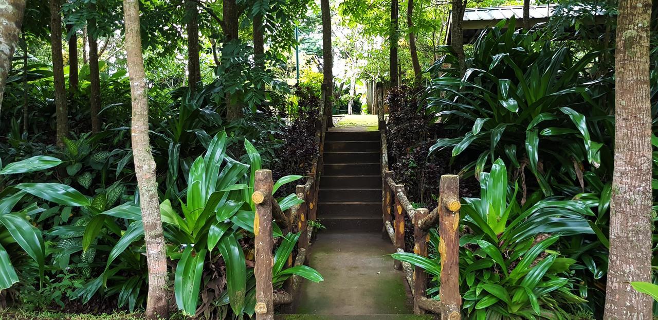 Tagaytay Summer House タガイタイ エクステリア 写真