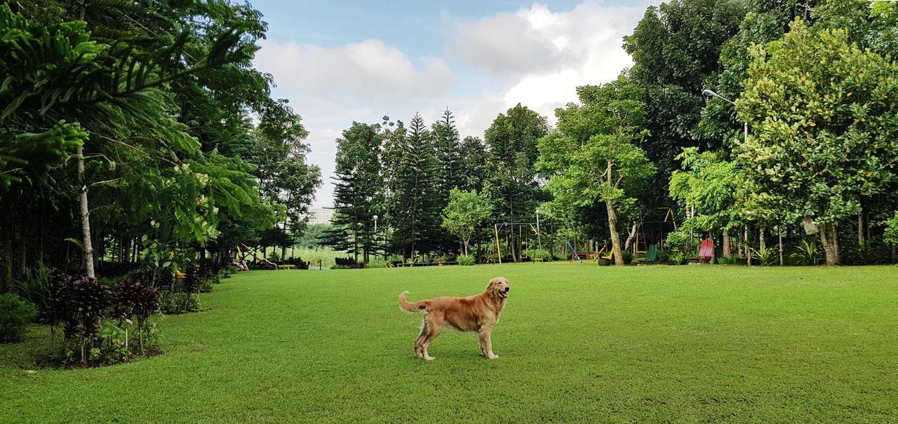 Tagaytay Summer House タガイタイ エクステリア 写真